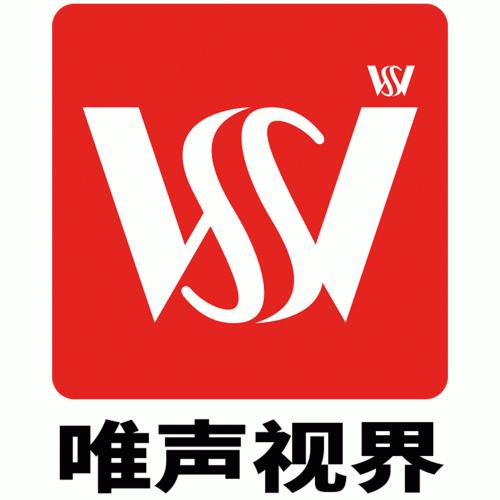 广州唯声视界智能电子有限公司-Logo