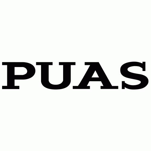Shenzhen PUAS Industrial Co., LTD-Logo