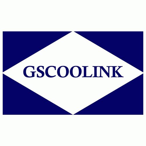GSCOOLINK MICROELECTRONICS (BEIJING) CO., LTD.-Logo