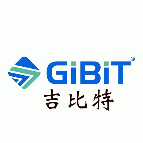 GIBIT-Logo
