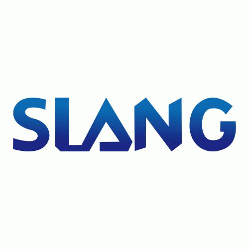 Wuxi Slang Electronics Technology Co., Ltd-Logo