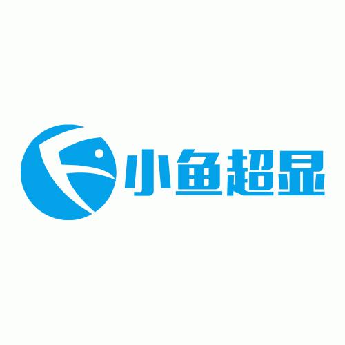 SHENZHEN XIAOYU VIDEO TECHNOLOGY CO. LTD-Logo