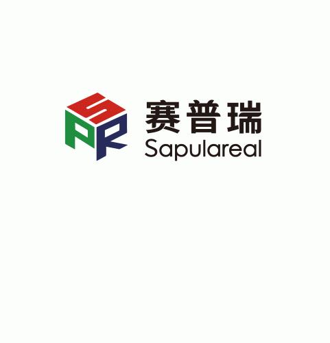 深圳智显电容科技有限公司-Logo