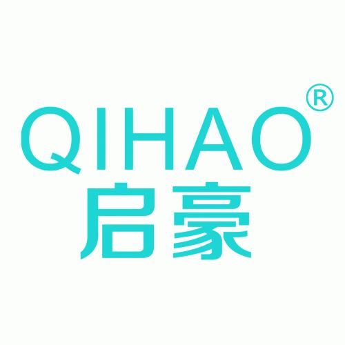 ZHUHAI QIHAO TECHNOLOGY CO., LTD.-Logo