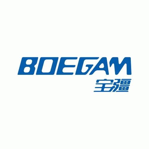 BOEGAM-Logo