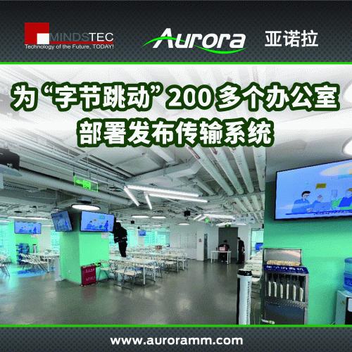 Enterprise Solution Users