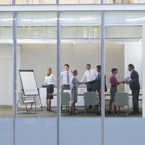 Enterprise Solution Users