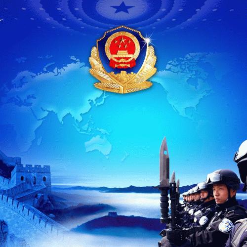 Government (Public Administration and Operational Assurance)
