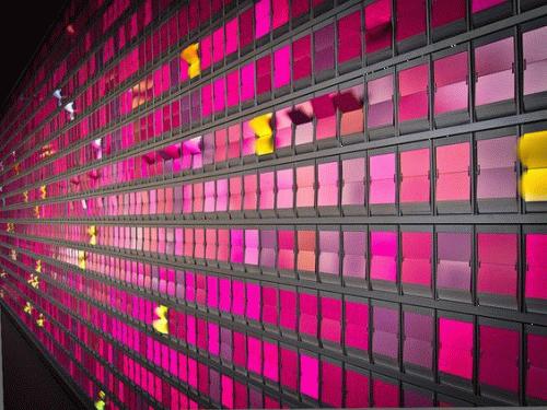 Layer-181